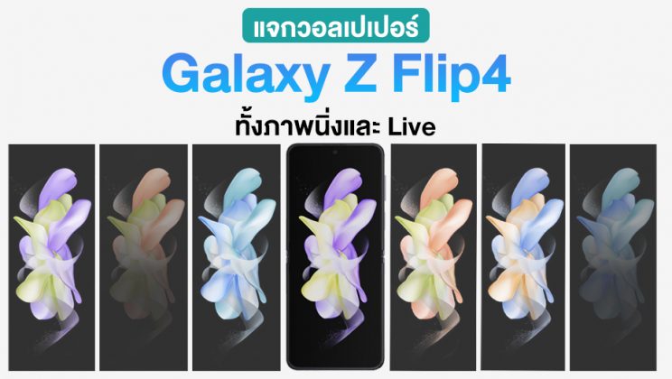 โหลดฟรี! แจกวอลเปเปอร์ Samsung Galaxy Z Flip4 มีให้เลือกเพียบทั้งภาพนิ่งและ Live